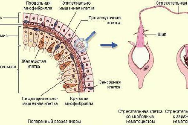 Кракен не работает сегодня