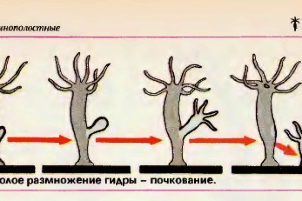 Кракен даркшоп