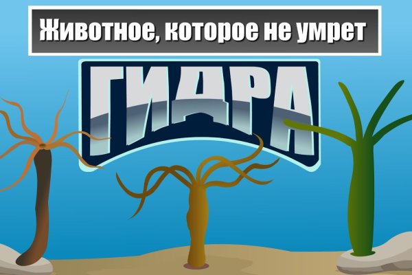 Darknet магазин